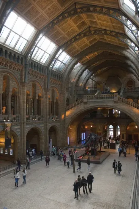 Framed Print : UK. London. Kensington. Natural History Museum. Visitors in the great hall Framed Print : UK. London. Kensington. Natural History Museum. Visitors in the great hall