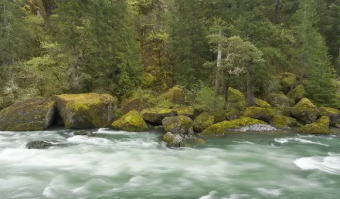 Framed Print : The Umpqua river, Oregon Framed Print : The Umpqua river, Oregon