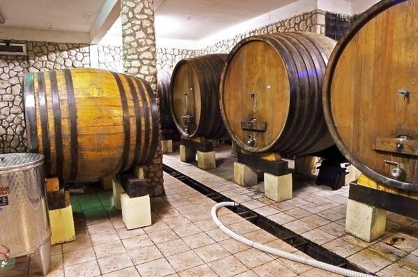 The underground wine cellar with old oak barrels for storing the wine. VitiI Vitaai