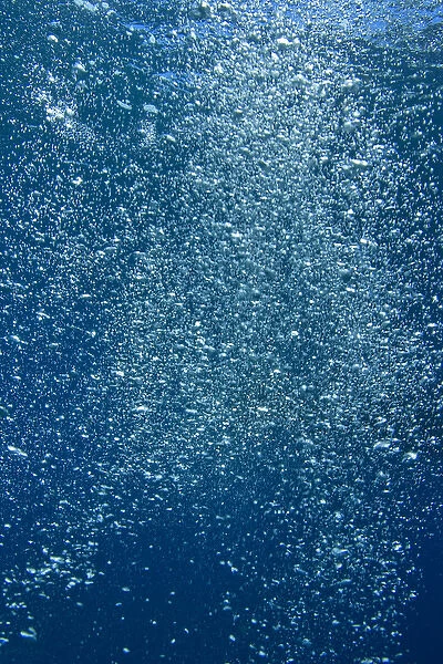 Underwater bubbles from scuba diver near Taveuni Island, Fiji, South Pacific