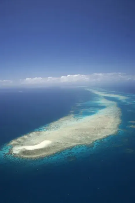 Framed Print : Undine Reef, Great Barrier Reef Marine Park, North Queensland, Australia - aerial Framed Print : Undine Reef, Great Barrier Reef Marine Park, North Queensland, Australia - aerial