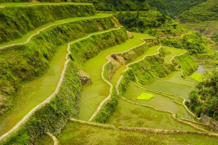 Framed Print : Unesco world heritage sight the rice terraces of Banaue, Northern Luzon, Philippines