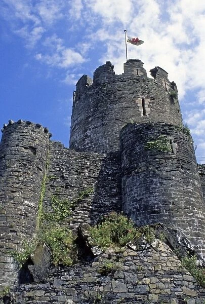 United Kingdom, Wales, Conwy. Conwy Castle, a UNESCO World Heritage Site, one of the Castles