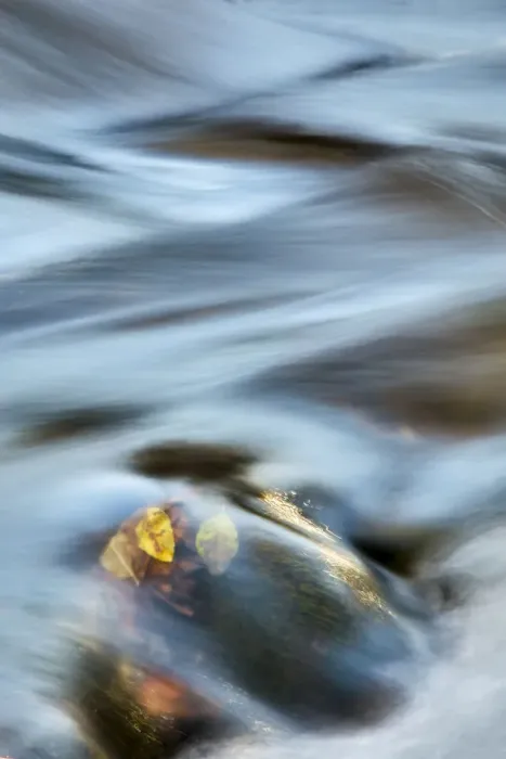 Framed Print : United States, Arizona, Sedona, Red Rock Crossing, River Swirling Framed Print : United States, Arizona, Sedona, Red Rock Crossing, River Swirling