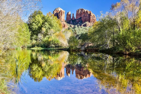 United States, Arizona, Sedona, Red Rock Crossing, Landscape of Rock and Trees Reflecting