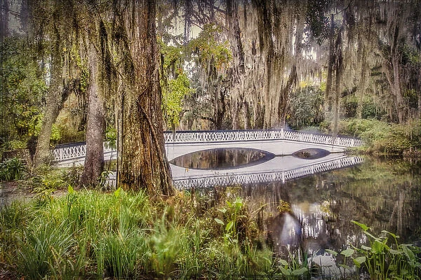 United States, Charleston, Magnolia Plantation, Wite Bridge and Its Reflection