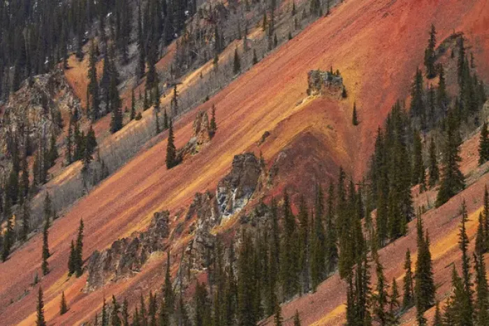 Framed Print : United States, Colorado, San Juan Mountains, trees, and brown, red and yellow iron