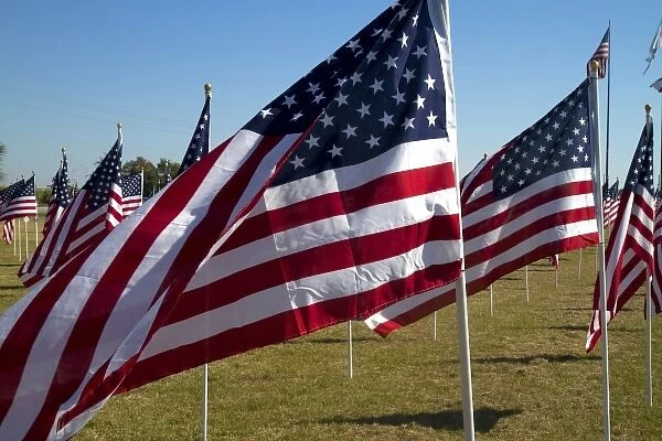 United States flags on display in honor of Veterans Dat at Battleship Memorial Park