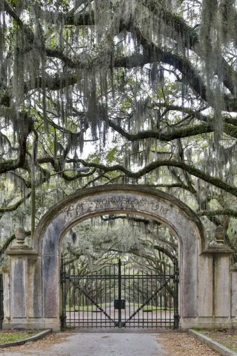 Framed Print : United States, Georgia, Savannah, Wormsloe, Gate at Entrance Framed Print : United States, Georgia, Savannah, Wormsloe, Gate at Entrance