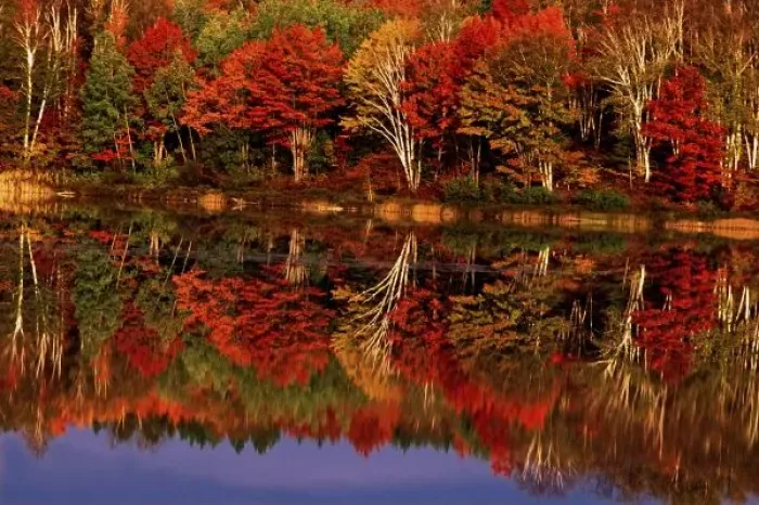 Framed Print : United States, Michigan, Upper Peninsula. Fall color reflected in Thornton Lake