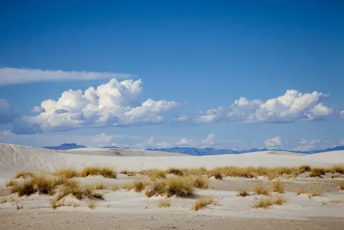 Framed Print : United States, New Mexico, White Sands National Monument, Landscape of Brush, Sand