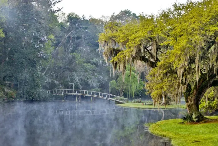 Framed Print : United States, North Carolina, Charleston, Middleton Place, Early Morning Mist Framed Print : United States, North Carolina, Charleston, Middleton Place, Early Morning Mist