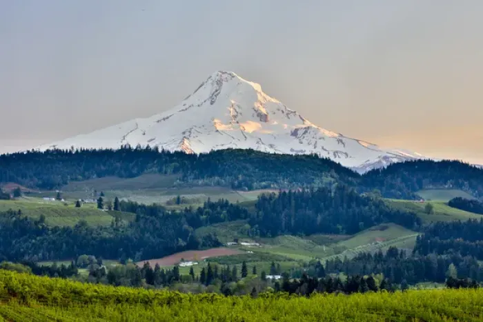 Framed Print : United States, Oregon, Columbia River Gorge, Mt. Hood Landscape