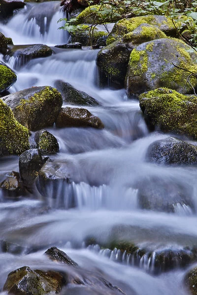United States, Oregon, Columbia River Gorge, Water Cascading over Rocks at Punchbowl