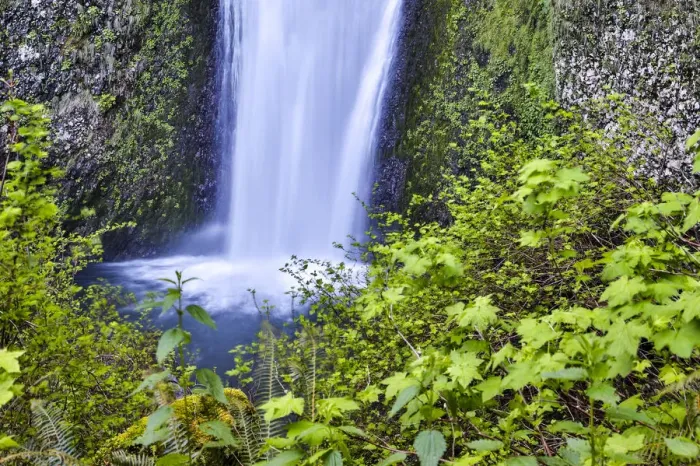 Framed Print : United States, Oregon, Columbia River Gorge, Multnomah Falls