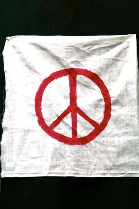 Framed Print : United States. Peace symbol