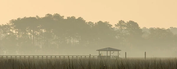 United States; South Carolina; Ace Basin National Estuarine Research Reserve, boardwalk in fog