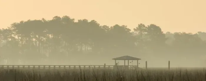 Framed Print : United States; South Carolina; Ace Basin National Estuarine Research Reserve, boardwalk in fog Framed Print : United States; South Carolina; Ace Basin National Estuarine Research Reserve, boardwalk in fog