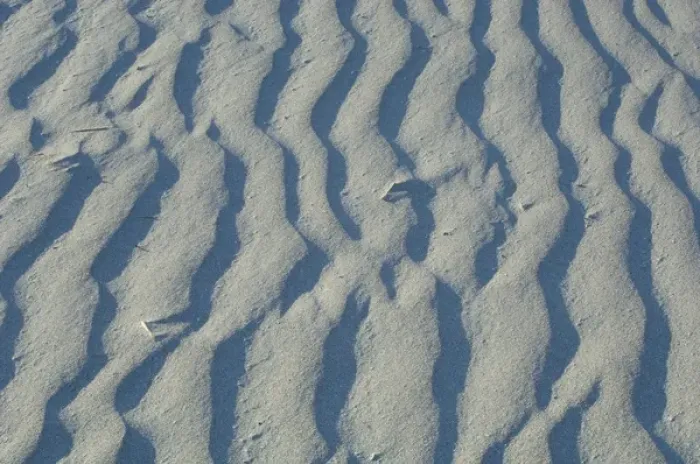 Framed Print : United States; South Carolina; Charleston; Folly Island, closeup of shadows and patterns
