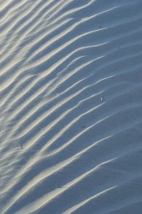 Framed Print : United States; South Carolina; Charleston; Folly Island, closeup of shadows and patterns Framed Print : United States; South Carolina; Charleston; Folly Island, closeup of shadows and patterns