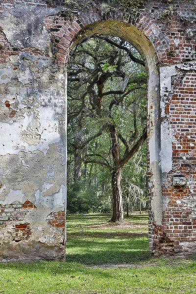 United States, South Carolina, Yemassee, Old Sheldon Church Ruins