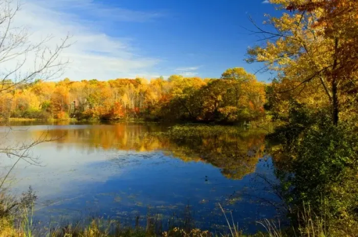 Framed Print : United States, State of Minnesota. Fall color