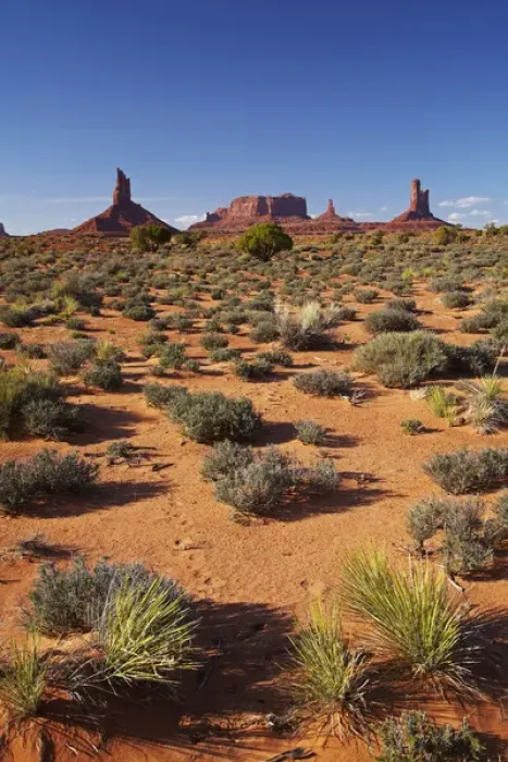 Framed Print : United States, Utah  /  Arizona Border, Navajo Nation, Monument Valley, Big Indian, Brighamas Tomb