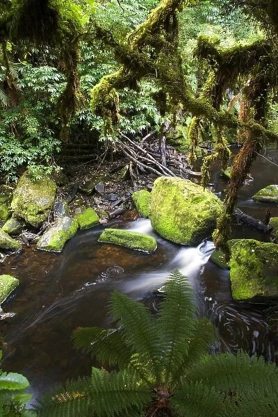 Unknown. Catlins, Otago, New Zealand. Along the Catlins region, waterfalls