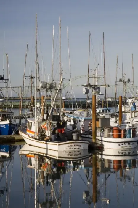 Framed Print : Unknown. OR, Oregon Coast, Newport, Commercial fishing fleet at the Port of Newport Framed Print : Unknown. OR, Oregon Coast, Newport, Commercial fishing fleet at the Port of Newport
