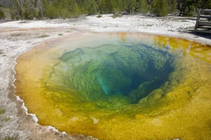 Framed Print : Unknown. WY, Yellowstone National Park, Upper Geyser Basin, Morning Glory Pool Framed Print : Unknown. WY, Yellowstone National Park, Upper Geyser Basin, Morning Glory Pool