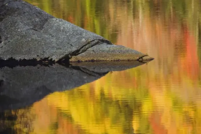 Framed Print : Unknown. Autum colors reflected on Beaver Pond, New Hampshire Framed Print : Unknown. Autum colors reflected on Beaver Pond, New Hampshire