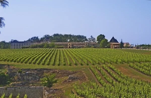 Unknown chateau and vineyard in Saint Emilion Bordeaux Gironde Aquitaine France