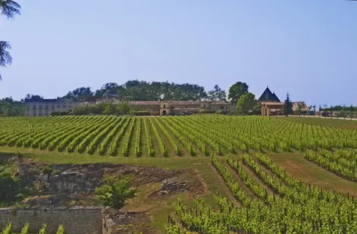 Framed Print : Unknown chateau and vineyard in Saint Emilion Bordeaux Gironde Aquitaine France Framed Print : Unknown chateau and vineyard in Saint Emilion Bordeaux Gironde Aquitaine France
