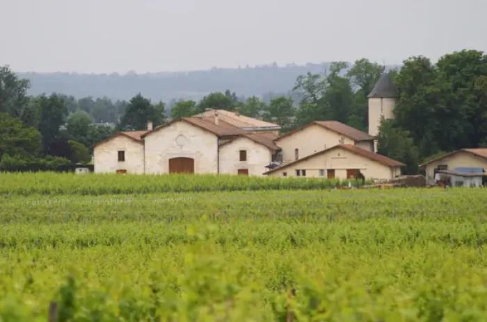 Framed Print : Unknown winery in St Emilion (seen from in front of Petit Village in Pomerol, but Framed Print : Unknown winery in St Emilion (seen from in front of Petit Village in Pomerol, but