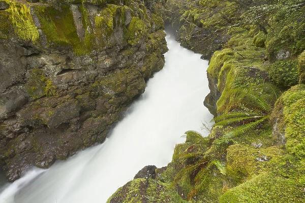 The upper Rogue river flows through a gorge, Oregon