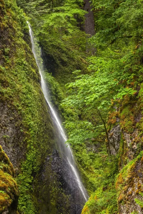 Framed Print : Upper section of Wahclella Falls, Columbia River Gorge National Scenic Area, Oregon