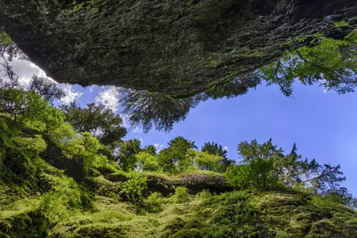 Framed Print : Upward view from bottom of Oneonta Gorge, Columbia River Gorge National Scenic Area, Oregon