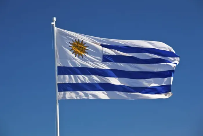 Framed Print : URUGUAY, Maldonado Department, Punta Ballena. Uruguayan flag