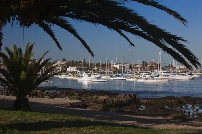 Framed Print : Uruguay, Maldonado Department, Punta del Este. Yacht Harbor, morning