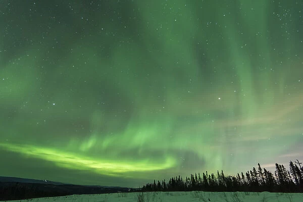 US, AK, Fairbanks. Aurora borealis light display