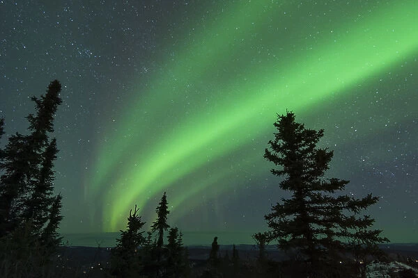 US, AK, Fairbanks. Dramatic curtain display of Aurora Borealis see from Ester Dome