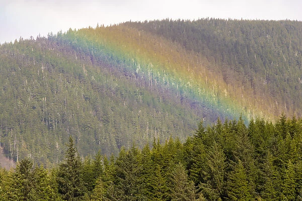 US, AK, Ketchikan. Sunny break in rain creates rainbow stripes on forested hills