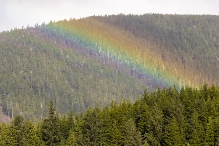 Framed Print : US, AK, Ketchikan. Sunny break in rain creates rainbow stripes on forested hills Framed Print : US, AK, Ketchikan. Sunny break in rain creates rainbow stripes on forested hills
