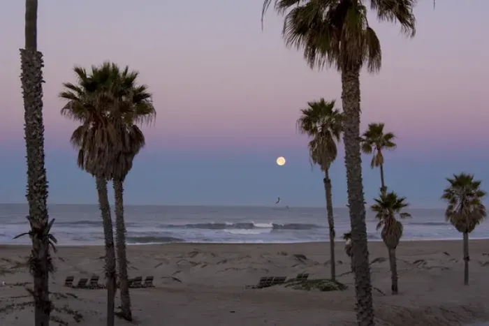 Framed Print : US, CA, Oxnard. Gulls fly above water pre dawn in full moonset Framed Print : US, CA, Oxnard. Gulls fly above water pre dawn in full moonset