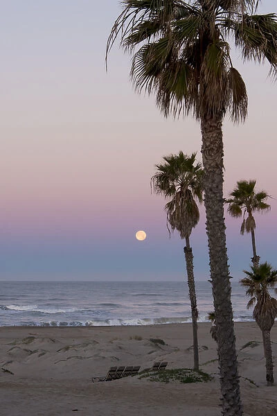 US, CA, Oxnard. Pre dawn in full moonset