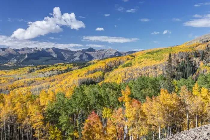 Framed Print : US, CO, Gunnison NF, Rocky Mountain Autumn