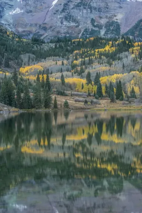 Framed Print : US, CO, White River NF, Autumn Color Reflected in Maroon Lake Framed Print : US, CO, White River NF, Autumn Color Reflected in Maroon Lake