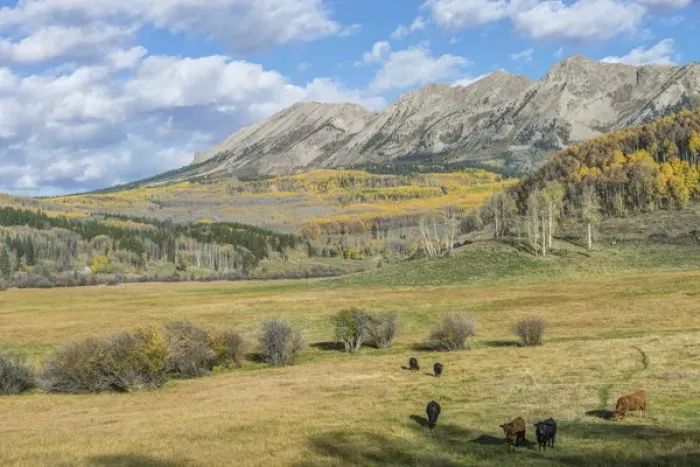 Framed Print : US, Colorado, near Gunnison, Rocky Mountain Autumn Ranch