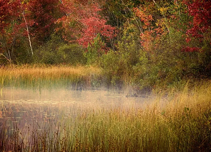 Framed Print : US, Michigan, Upper Peninsula. Thornton Lake Framed Print : US, Michigan, Upper Peninsula. Thornton Lake