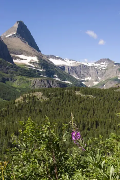 Framed Print : US, MT, Glacier NP. Many Glacier area. Vistas from Iceberg Lake trail
